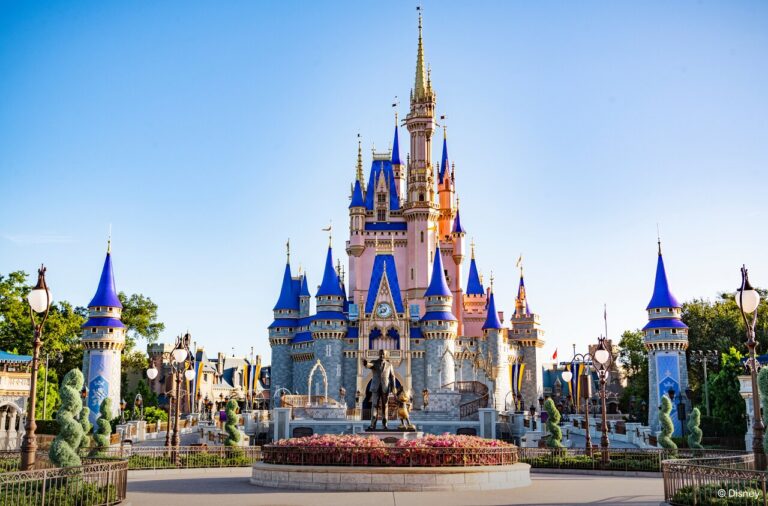 Gifts for Disney Lovers
